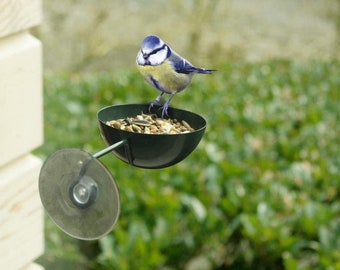 Small Birds Window Feeder Suction Cup