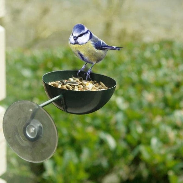 Small Birds Window Feeder Suction Cup