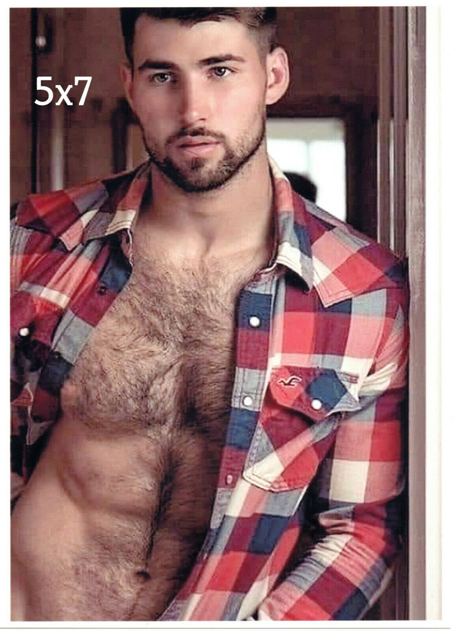 Handsome Male Extremely Hairy Chest Open Plaid Shirt Beefcake Etsy Handsome Male Extremely Hairy Chest Open Plaid Shirt Beefcake Etsy