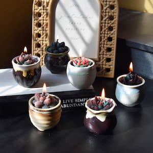 May include: Six succulent-shaped candles in small ceramic pots with lit wicks. The candles are various colors, including pink, green, and dark purple. The pots are glazed in shades of brown, white, and blue. A wooden frame with the text "gratitude takes practice" is in the background.