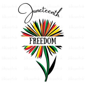 Op de afbeelding: Grafisch ontwerp met het woord "Juneteenth" in cursief boven een gestileerde bloem. De bloemblaadjes tonen de kleuren van de Pan-Afrikaanse vlag, met het woord "FREEDOM" in vette letters in het midden.