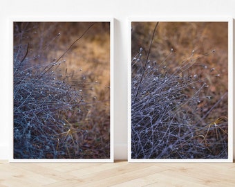 Conjunto de 2 láminas botánicas de hierbas silvestres, arte minimalista de la naturaleza (descarga digital)