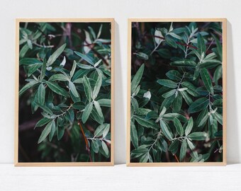 Green Leaves Botanical Art Prints, Set of 2 (Digital Download)