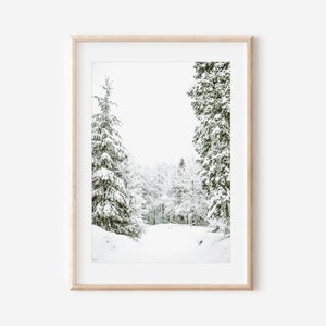 Winter forest Photography, Snow Christmas, scandinavian wall Decor, Digital Art Print, Snowy Nature, Pine trees Print, Printable Wall Art