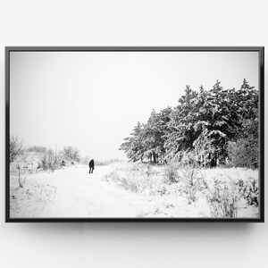 Printable Winter forest Photo, Black and White Photography Prints, Wall Art Prints, Downloadable Prints, Digital Print, Nature Wall Art