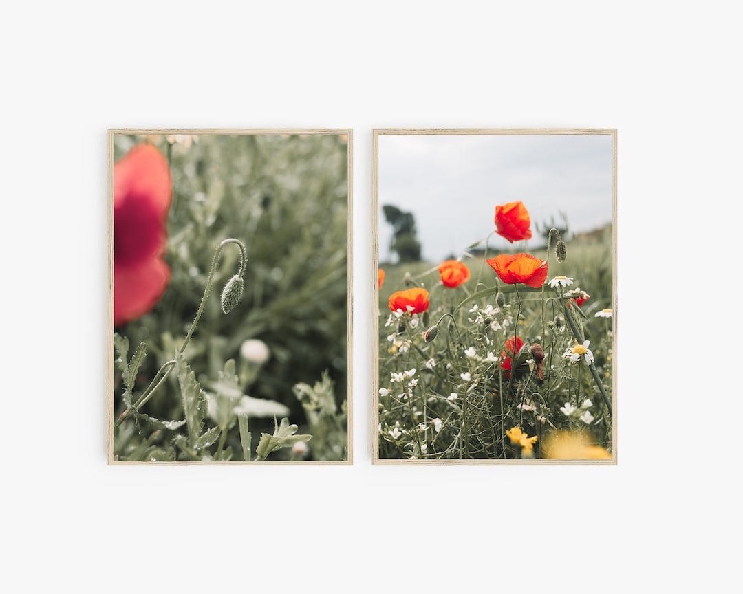 Red Poppy Field Prints Set, Boho Botanical Wall Art (digital Download ...