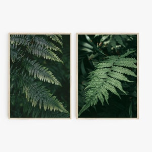 Set of 2 Fern Prints, Fern Leaves Botanical Art, Moody Botanical, Dark Plant Wall Art, Digital Prints, Nature Green Leaves,Modern Home Decor