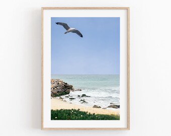 Seagull Beach Photography Print, Coastal Seascapes Decor (Digital Download)