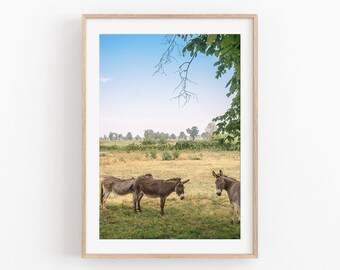 Donkey Farm Animal Print, Modern Boho Wall Art (Digital Download)