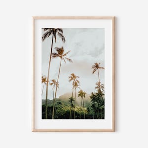 Impresión de playa de Hawaii, arte de la pared de la palmera, arte de la pared costera, cartel moderno de verano, fotografía de la naturaleza, impresión botánica, arte de la pared de la playa tropical