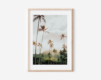 Hawaii Palm Tree Print, Coastal Beach Photography (Digital Download)