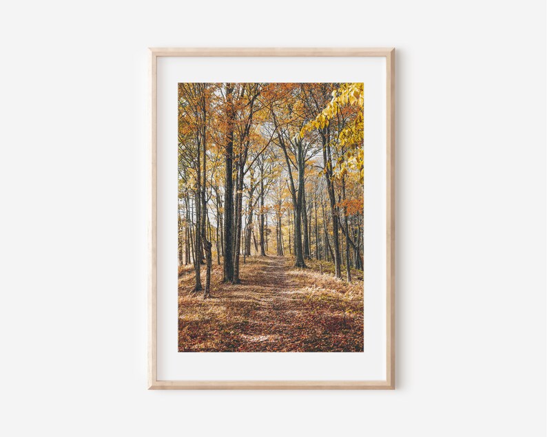 Autumn Landscape Photo Prints, Fall Gallery Wall Art Set (digital ...