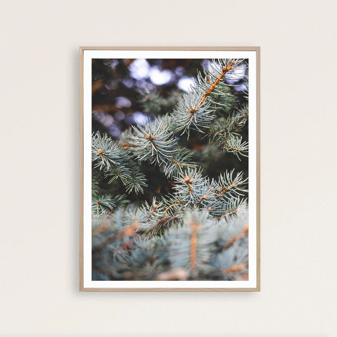 Tree Priint Green Pine Tree Forest Print, Scandinavian Nature Wall Art (instant ...