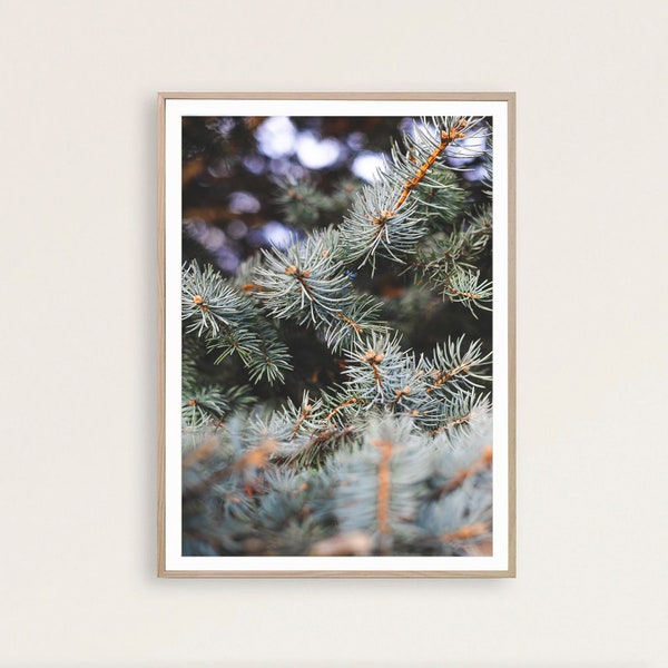 Pine Tree Print, Forest Print, Green Forest Art, Nature Wall Art, Scandinavian Print, Printable Wall Art,  Home Wall Decor, Instant Download