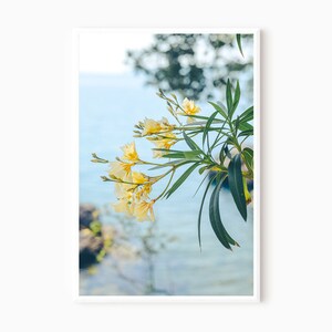 Puede incluir: Primer plano de una rama de flores blancas con hojas verdes sobre un fondo borroso de agua azul.