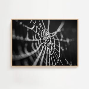 Halloween Spider Web Print, Halloween Printable Wall Art, Dark Moody Colors, Halloween Poster, Spooky Home Decor, Black and White Print