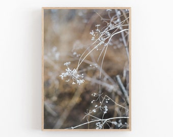 Impresión botánica de flores secas, decoración rústica de granja (arte de pared imprimible)
