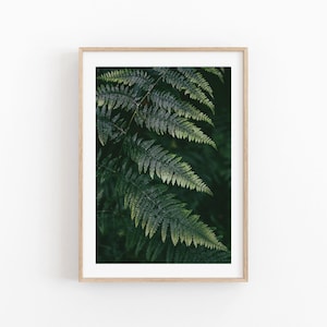 Fern Print, Botanical Print, Plant Photography, Digital Print, Printable Botanical Wall Art, Greenery Home Decor, Modern Minimalist Decor