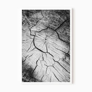 Tree Ring, Tree Rings Prints, Black And White Wall Art,Wood Prints,Digital Download,Tree Rings,Scandinavian Art,Minimalist Art,Log Slice