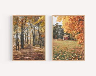 Fall Forest Print Set, Rustic Autumn Nature Art (Digital Download)