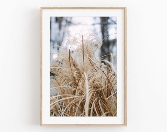 Weizen Gras Print, Boho Natur Fotografie (Digitaldruck)