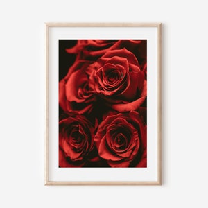 Red Rose Print, Valentine&#39;s Day Gift, Housewarming Decor, Flower Wall Art, Floral Photography, Boho Wall Art Decor, Botanical Wall Art Decor