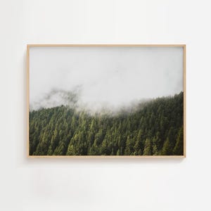 Moody Foggy Forest Landscape, Nordic Print, Green Forest Mountain Wall Art, Scandinavian Wall Decor, Modern Minimalist Poster, Digital Print