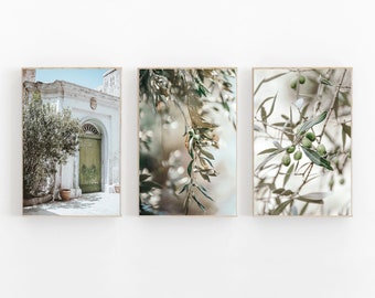 May include: Three framed prints of a white building with a green door, a close-up of olive branches with green olives, and a close-up of olive branches with green olives.