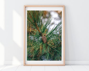 Pine Tree Photography Print, Forest Green Wall Decor (Digital Download)