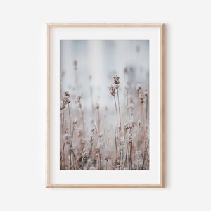 Impression d'herbe séchée, photographie de roseaux, art mural botanique, art imprimable neutre, décoration de ferme, impression de fleurs sauvages, décoration murale bohème