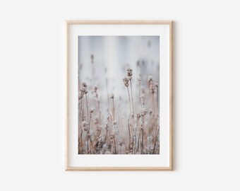 Dried Grass Botanical Print, Neutral Farmhouse Wall Art (Digital Download)