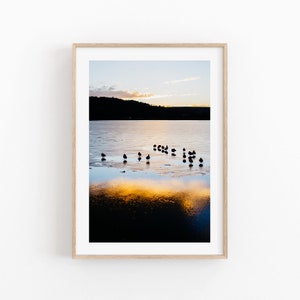 Ducks Birds Print, Ocean Print, Bird Nature Photography, Modern Minimalist Poster, Printable Beach Decor, Flock Of Birds Wall Art, Sea Print