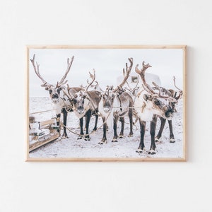 Impressão de rena, impressão de inverno nórdico, impressão de arte de parede de inverno, arte escandinava, arte de parede de rena de Natal, decoração de pôster minimalista moderna