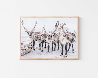 Reindeer Christmas Wall Art, Nordic Winter Print (Digital Download)