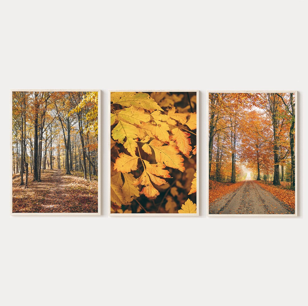 Autumn Forest Print Set, Rustic Fall Nature Art (digital Download) - Etsy