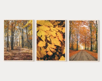 Fall Landscape Printable Set of 3 Photography, Autumn Forest Set of 3 ...