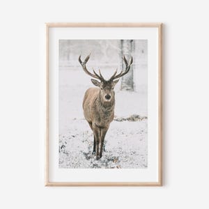 Winter Deer Wall Art, Winter Animal Photography, Log Cabin Holiday Decor, Digital Print, Snowy Landscape, Scandinavian Art, Christmas Print