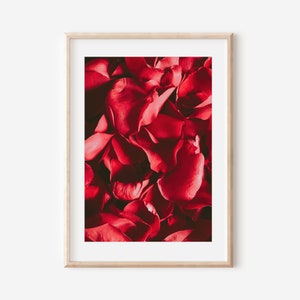 Red Rose Wall Art, Valentine&#39;s Day Gift, Boho Wall Art Decor, Botanical Wall  Art, Rose Petal art, Floral Printable Art, Digital Download