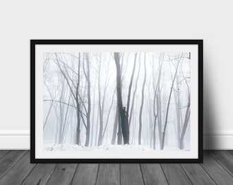 Impresión fotográfica de bosque invernal, paisaje artístico (impresión digital)
