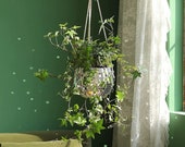 Hanging Disco Ball Planter, Minimalist Indoor Wall Planter, Funky Mirror Eclectic Decor, Sun Catcher Home Decor - With Without Drainage