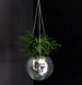 Disco ball planter hanger, Hanging unique plant pot, Funky retro round disco vase, Boho disco décor, Creative wall hanging round planters