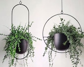 Hanging Iron Planter, Metal Hanging Pots, Modern Minimalist Plant Hanger, Nordic Succulent Cachepot, Swing Flower Basket, Round and Oblong