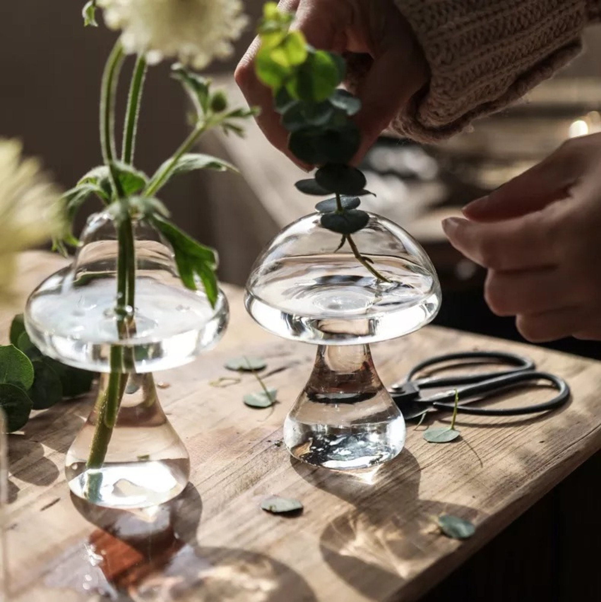 Mushroom Glass Vase Flower Hydroponics Plant Vases Home Office Living Room Decor 