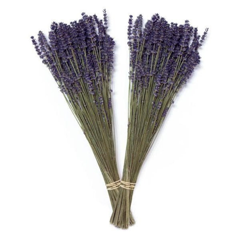Organical Natural Air Dried California Lavender Flower Bunches FREE SHIPPING Organical Natural Air Dried California Lavender Flower Bunches FREE SHIPPING
