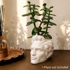 May include: A white ceramic planter shaped like a human head with detailed facial features and hair. A green succulent plant grows from the top of the head. The text "* Plant not included" is printed in the bottom right corner of the image.