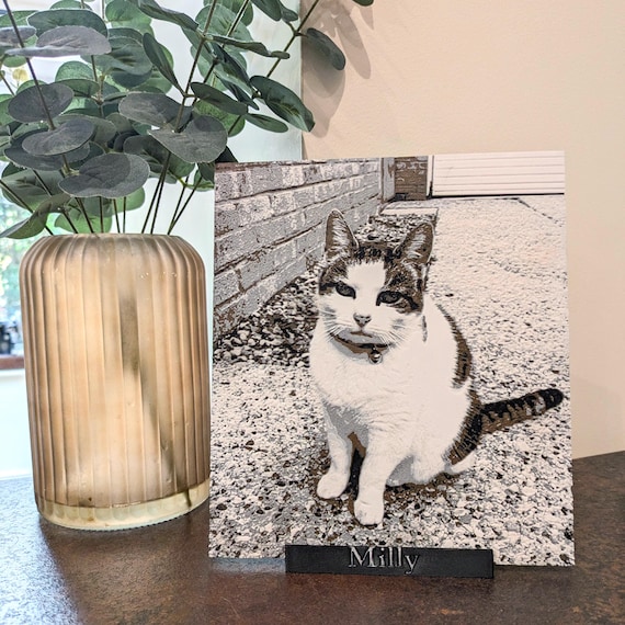 Custom 3D textured Pet Portrait - Individually designed and hand finished