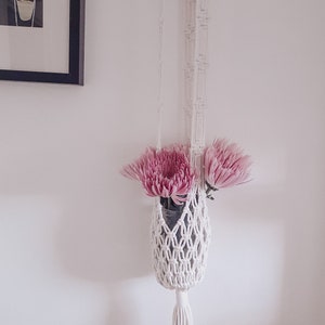 May include: White macrame plant hanger with a tassel hanging from the bottom. Two pink flowers are in the planter.