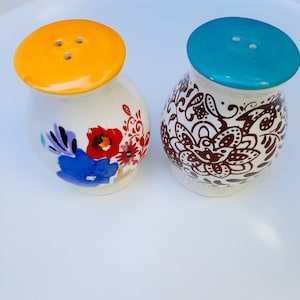 PIONEER WOMAN Floral Flea Market Design Ceramic Salt and Pepper Shakers, vintage