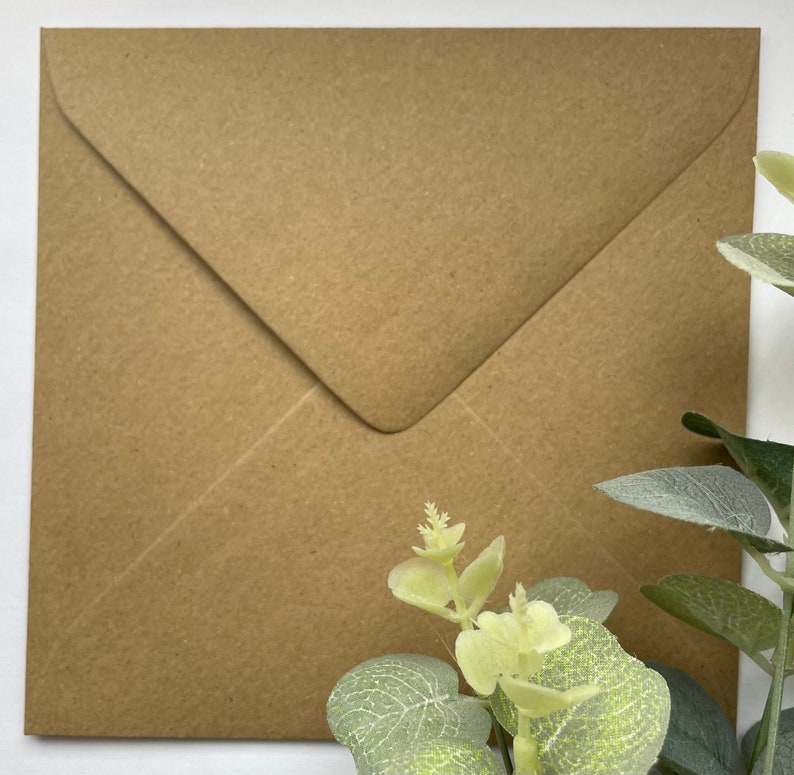 May include: A brown paper envelope with a flap on the top. The envelope is lying flat on a white surface. A sprig of green leaves is partially visible in the bottom right corner of the image.