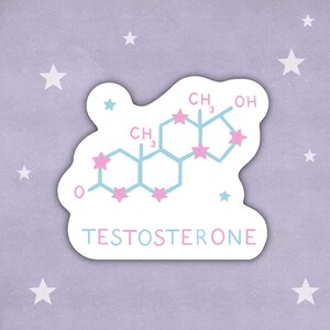 May include: A white sticker with a blue and pink chemical structure labelled "TESTOSTERONE" with a pink and blue star design.